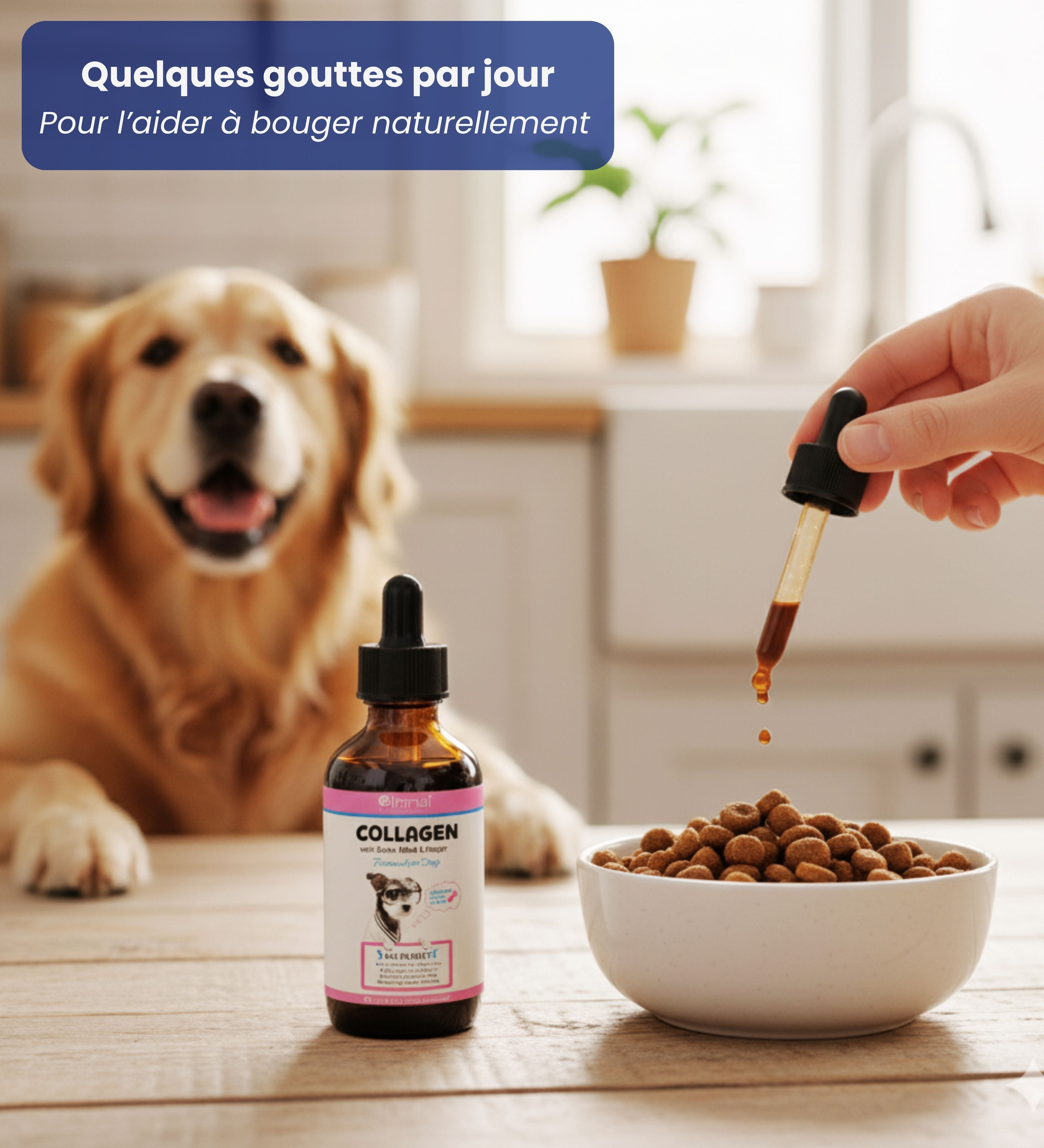 Un soutien naturel au quotidien, pour des balades plus fluides.
