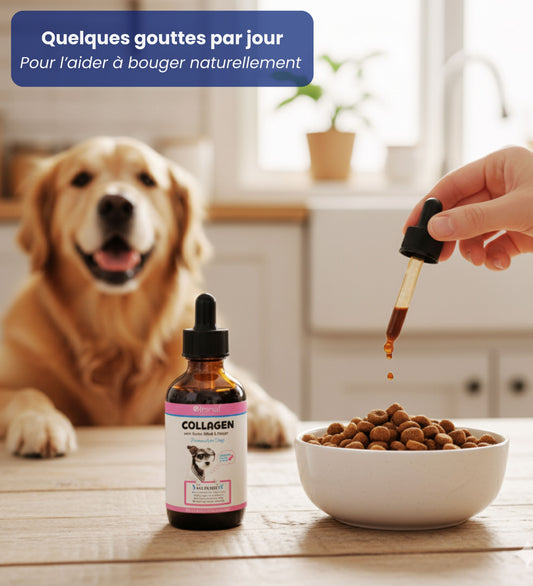 Un soutien naturel au quotidien, pour des balades plus fluides.