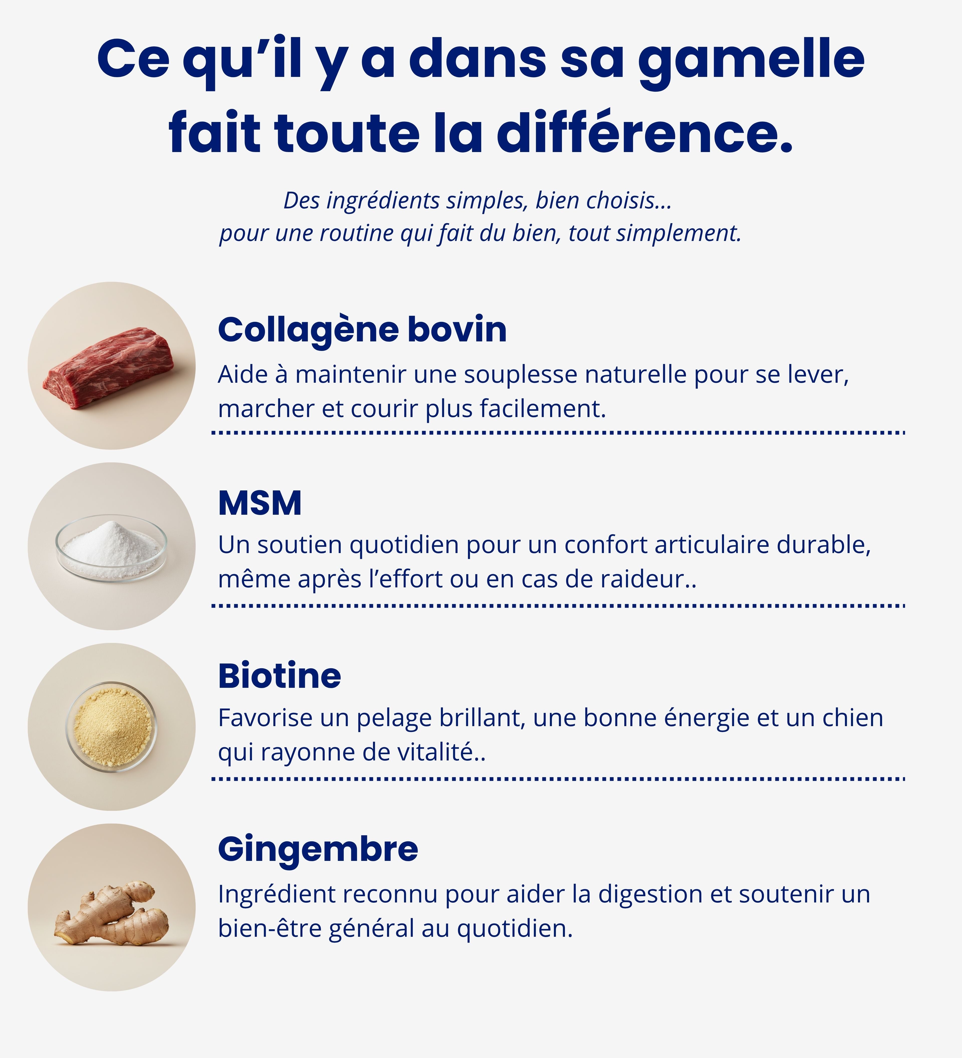 Un soutien naturel au quotidien, pour des balades plus fluides.