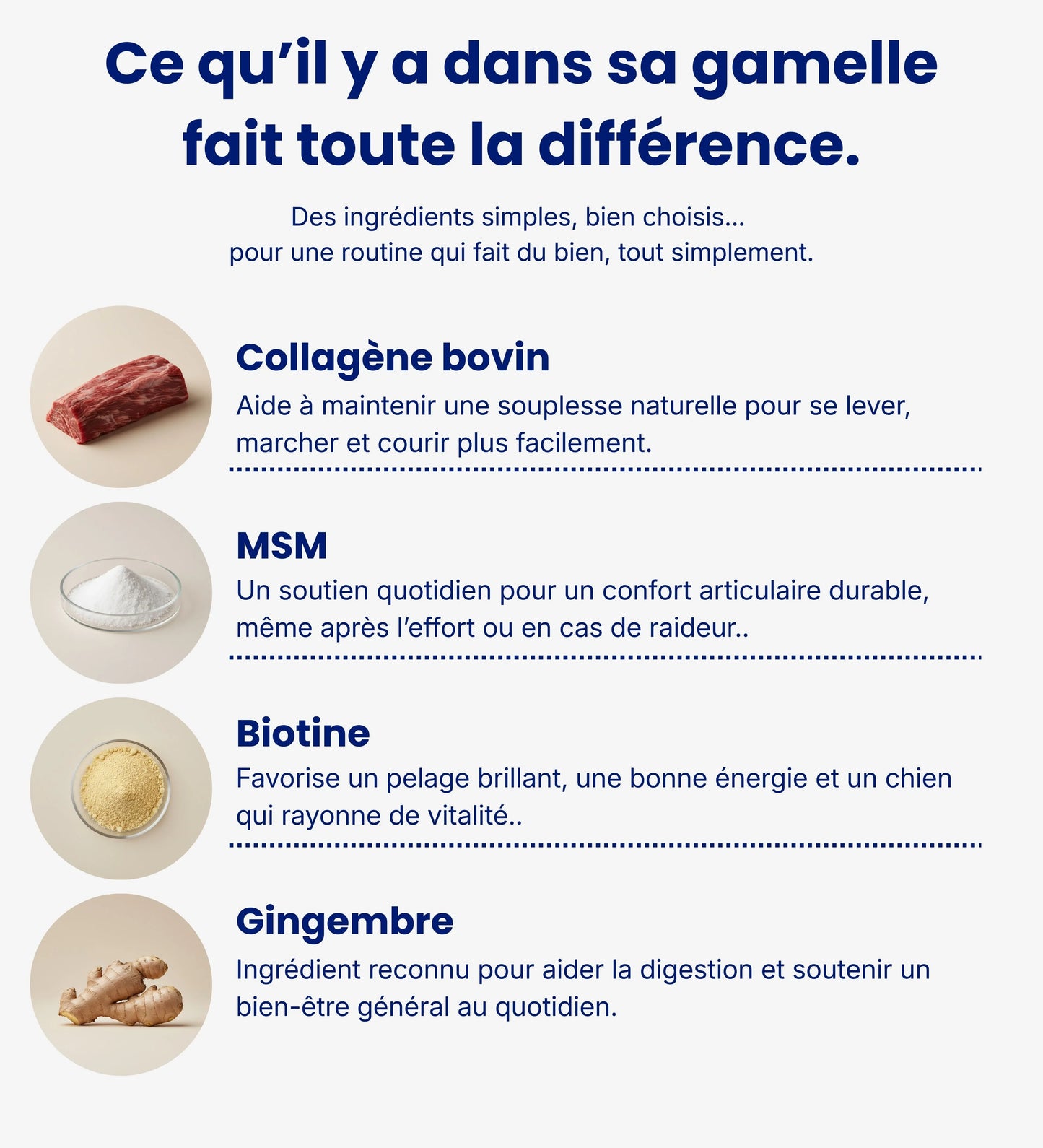 Collagène Liquide Pour Chiens - Santé Articulaire