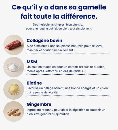 Collagène Liquide Pour Chiens - Santé Articulaire