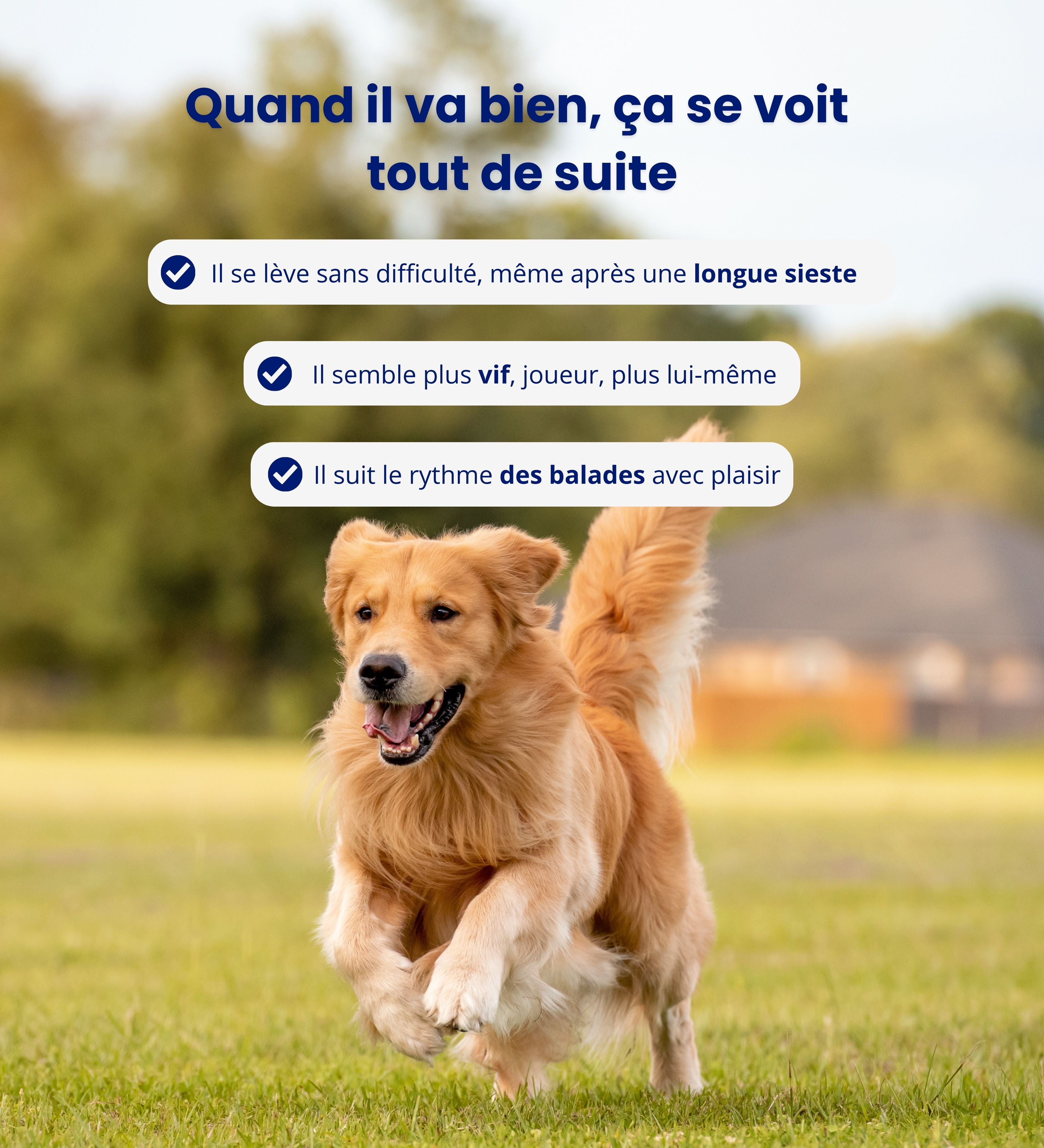 Un soutien naturel au quotidien, pour des balades plus fluides.