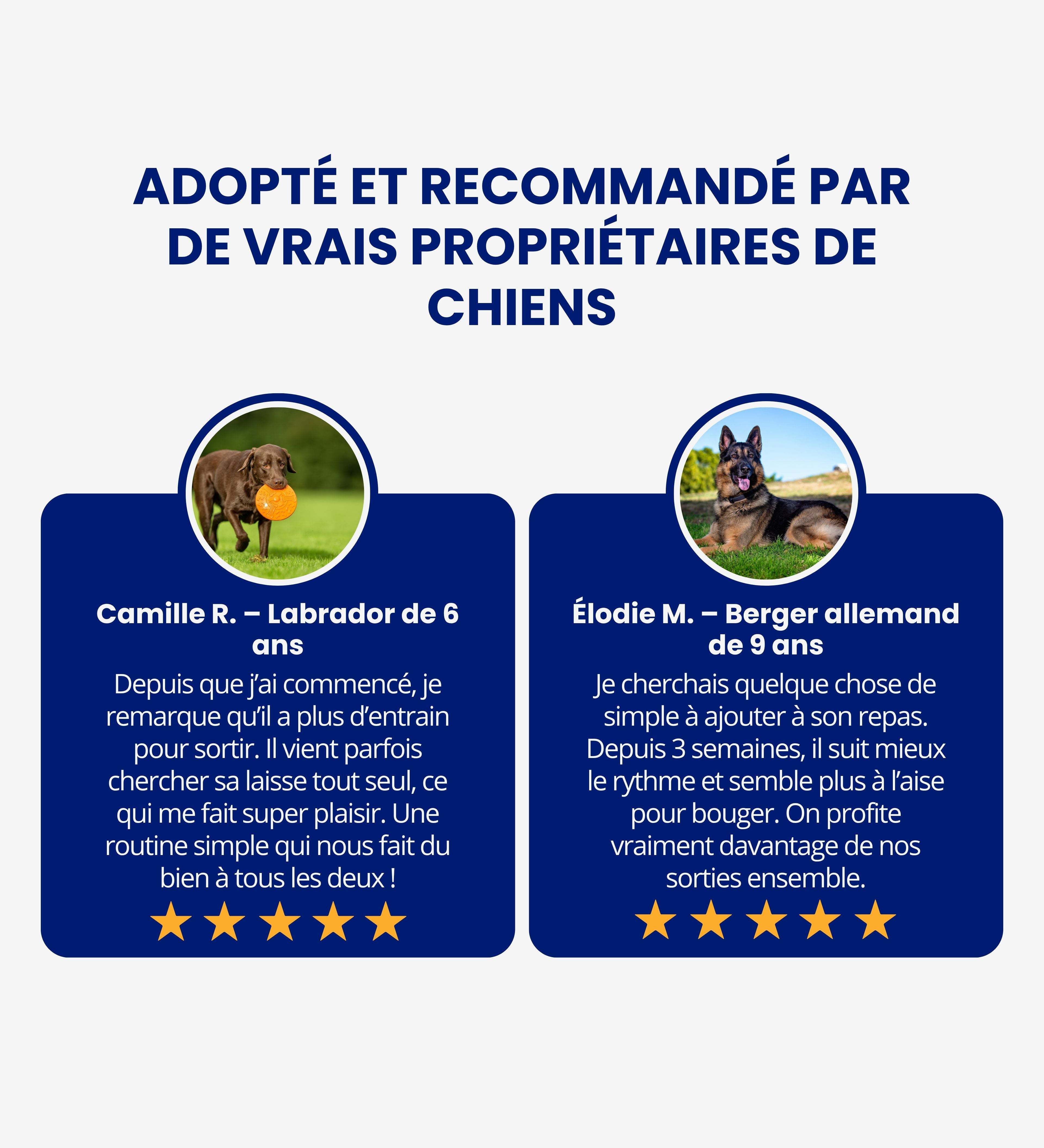 Un soutien naturel au quotidien, pour des balades plus fluides.