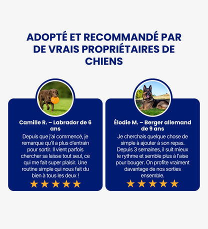 Collagène Liquide Pour Chiens - Santé Articulaire