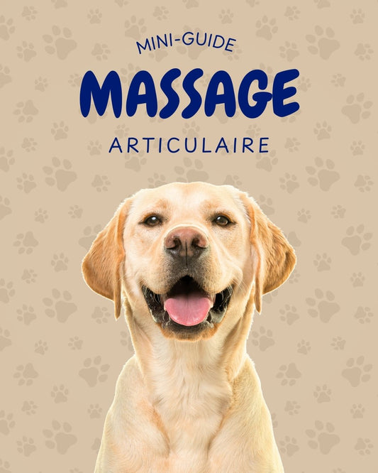 Mini-guide massage articulaire