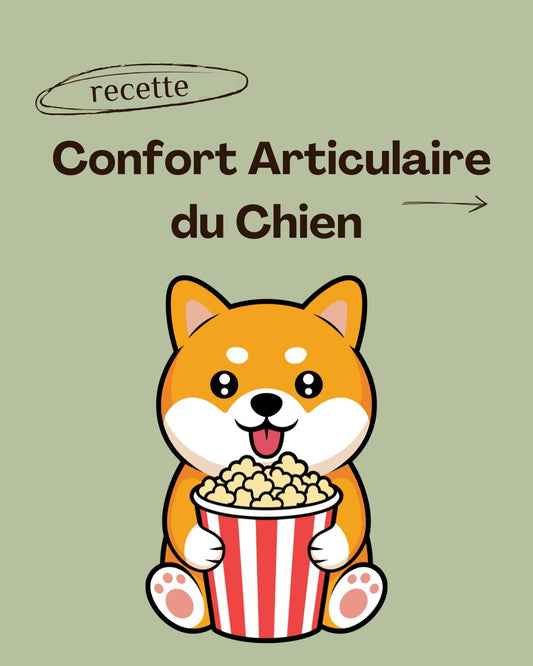 Recettes maison pour le confort articulaire