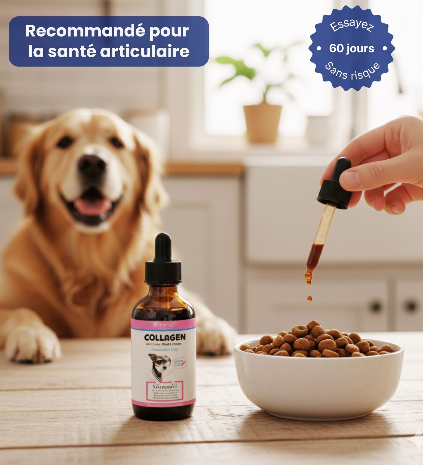 Collagène Liquide Pour Chiens - Santé Articulaire