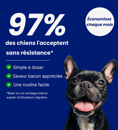Collagène Liquide Pour Chiens - Santé Articulaire